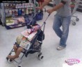 /album/srandovni-a-hloupe-napady/poor-baby-jpg/